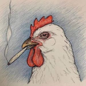 Meet your Posher, Kenneth